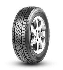 195/60R16C 99/97T Dayton Van Winter