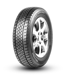215/75R16C 116/114R Dayton Van Winter